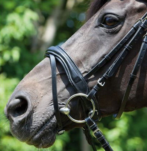 Kieffer Perseus Snaffle Bridle with Plain Browband