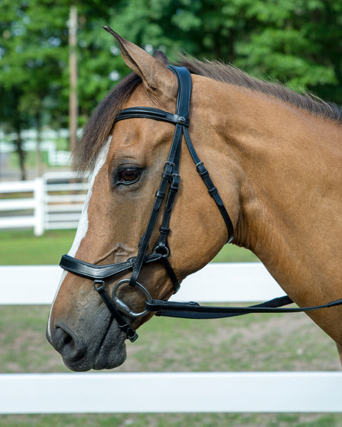 Henri de Rivel Pro Anatomical Bridle