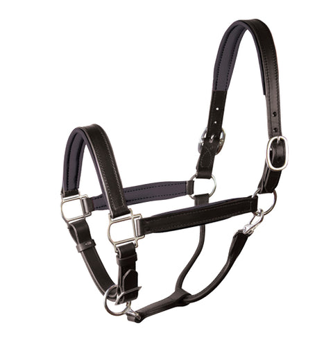 Perri’s® Padded Leather Halter Crownpiece