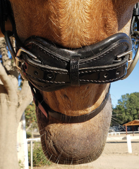 Stübben Patent Switch Combo Bridle