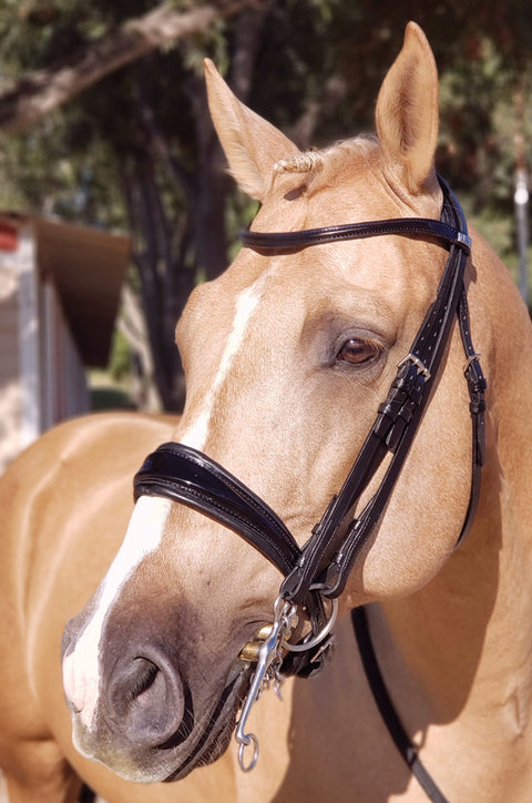 Stübben Patent Switch Combo Bridle