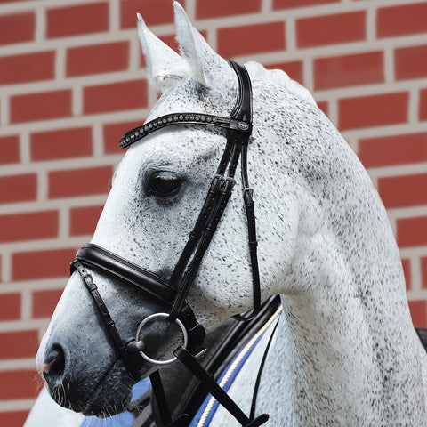 Passier® Fortuna Snaffle Bridle