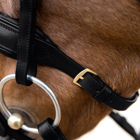 Horze Lester Snaffle Bridle