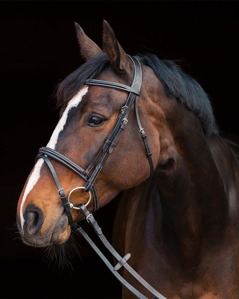 Horze Constance Padded Flash Snaffle Bridle
