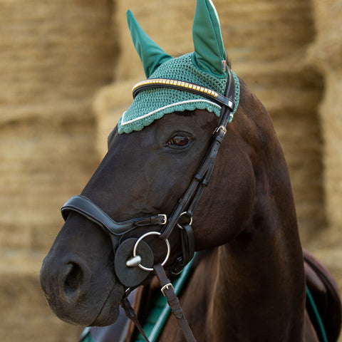 Horze Stewart Bridle