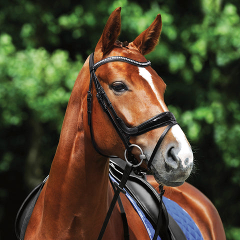 Passier® Starlight Snaffle Bridle