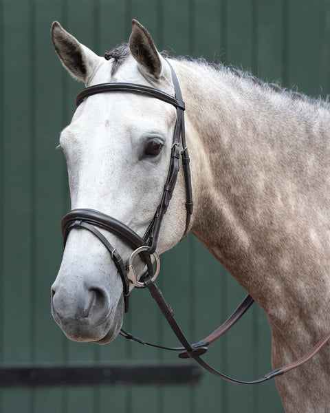 Collegiate® Essential Padded Raised Flash Bridle
