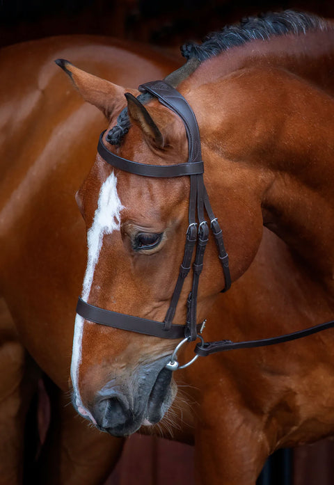 Shires Velociti Rapida Hunter Caveson Bridle