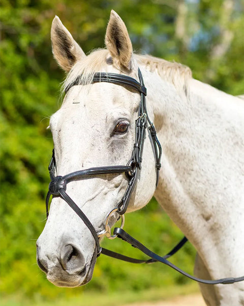 Shires Avignon Woodside Bridle
