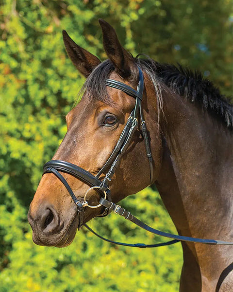 Shires Avignon Aspen Bridle