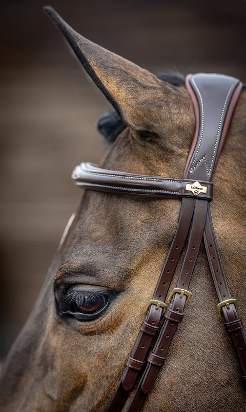 LeMieux® Kudos Competition Flash Bridle