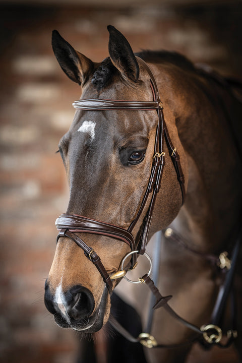 LeMieux® Kudos Competition Flash Bridle