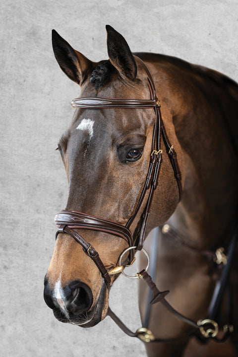 LeMieux® Kudos Competition Flash Bridle