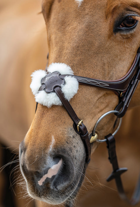 LeMieux® Kudos Figure-8 Bridle