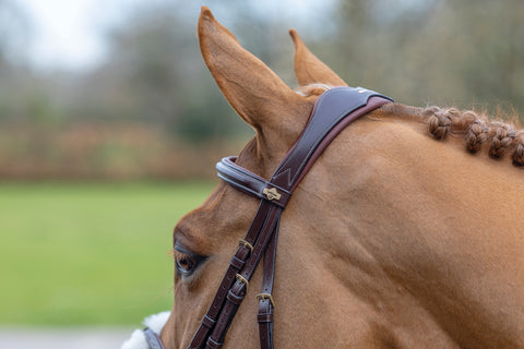 LeMieux® Kudos Figure-8 Bridle