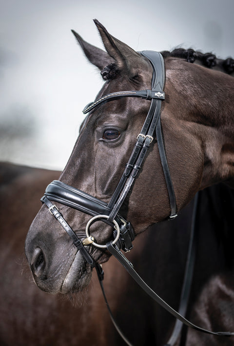 LeMieux® Kudos Dressage Flash Bridle