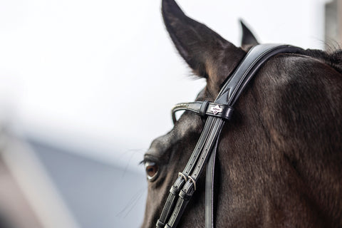 LeMieux® Kudos Dressage Flash Bridle