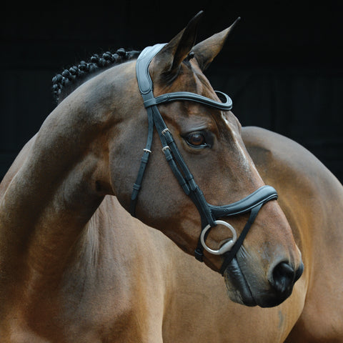 Collegiate® ComFiTec™ Vogue Anatomic Bridle