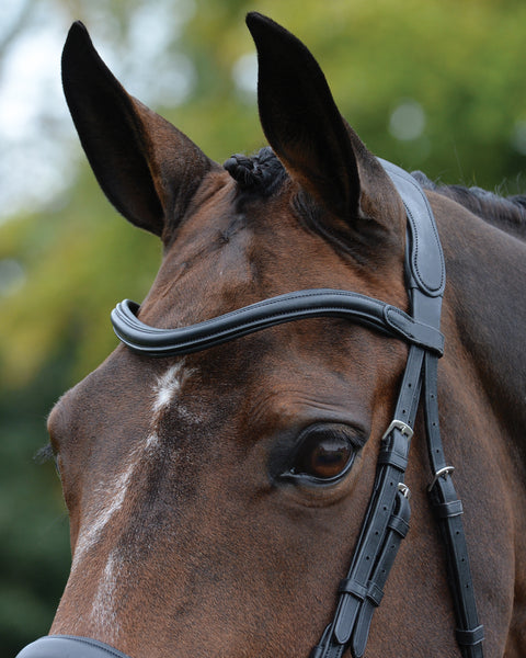 Collegiate® ComFiTec™ Vogue Anatomic Bridle