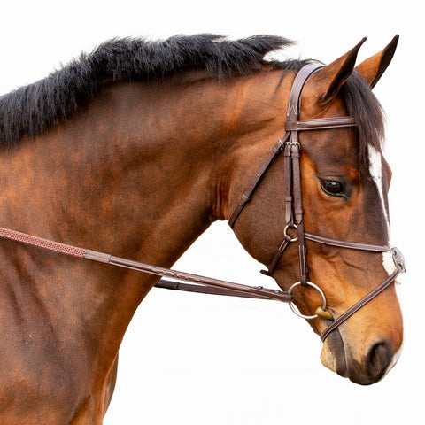 Equinavia Valkyrie Fancy-Stitched Figure-8 Bridle & Reins