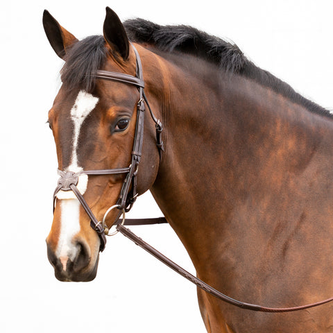 Equinavia Valkyrie Fancy-Stitched Figure-8 Bridle & Reins