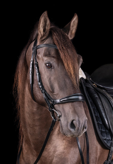 Schockemöhle Equitus Theta Bridle