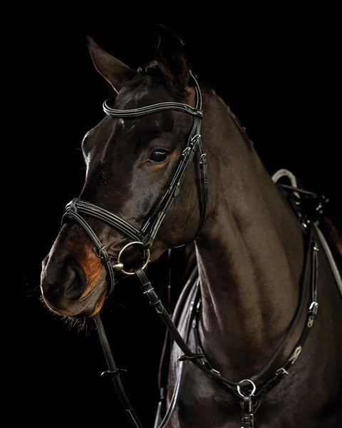 Schockemöhle Tokyo F Bridle