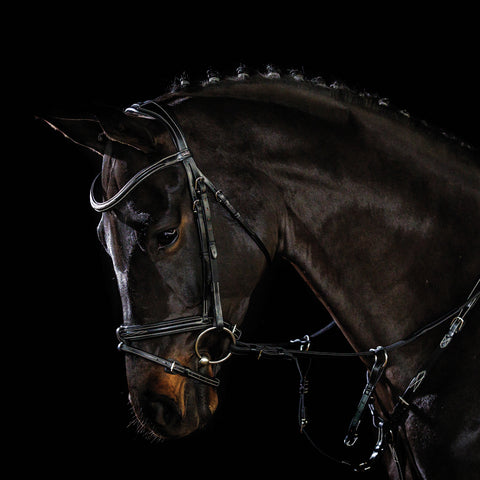 Schockemöhle Tokyo F Bridle