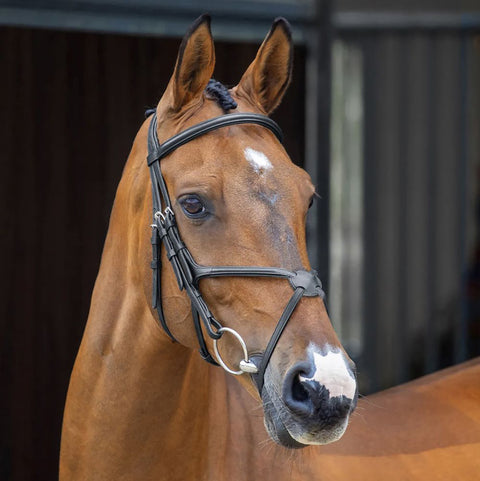 Velociti Lusso Grackle Bridle