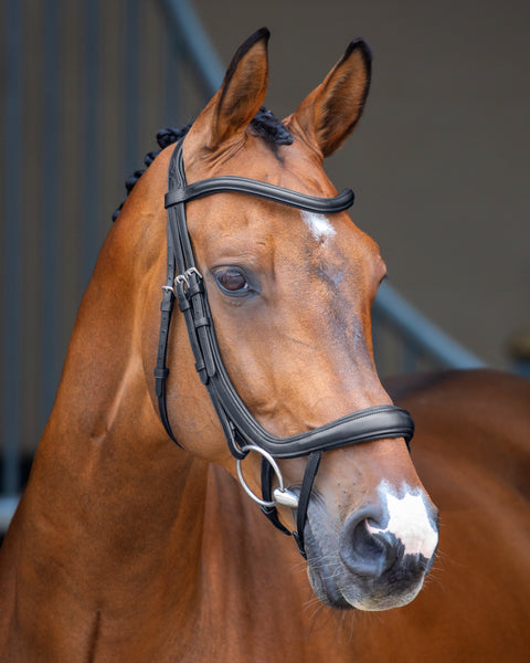 Velociti Lusso Ergonomic Curved Flash Bridle