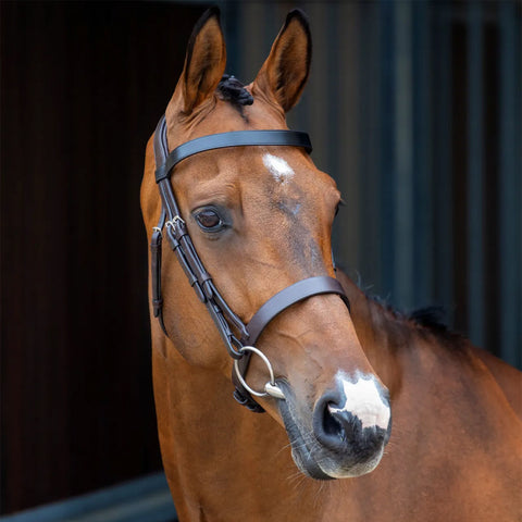 Velociti Lusso Hunter Caveson Bridle