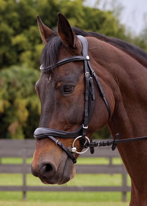 Showmark® Ergonomic Flash Bridle