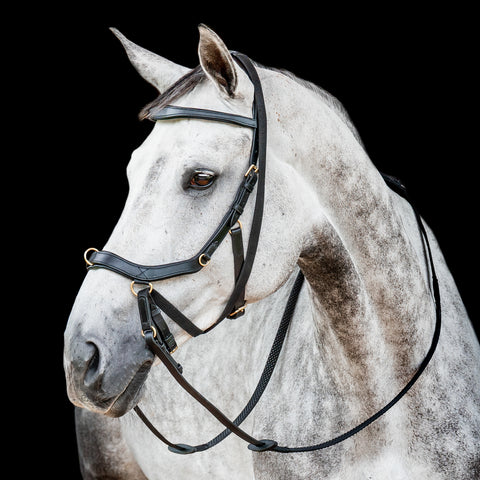 Horseware® Ireland Micklem2 Multibridle USA with Reins