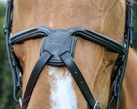 Vespucci Square Raised Figure-8 Bridle