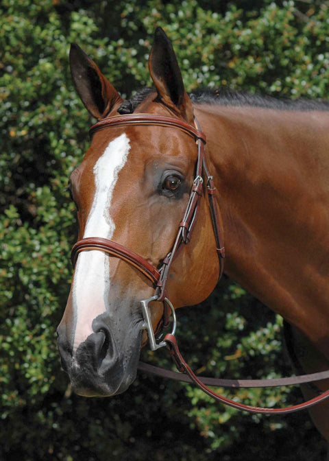 Vespucci Fancy Raised Hunter Bridle