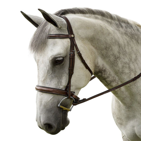 Marcel Toulouse Platinum Liza Hunter Derby Bridle
