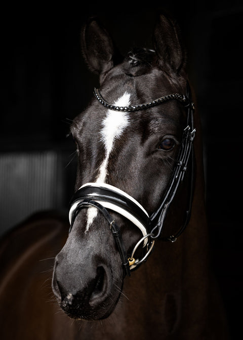 LeMieux® Kudos Patent Leather Dressage Bridle