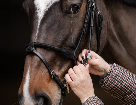 Stübben Pro Jump Bridle with Removable Flash Noseband
