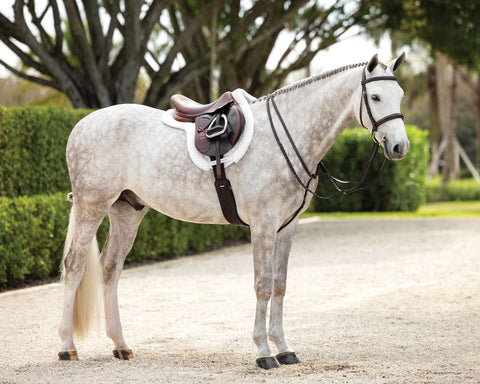 LeMieux® Hunter-Stitched Bridle