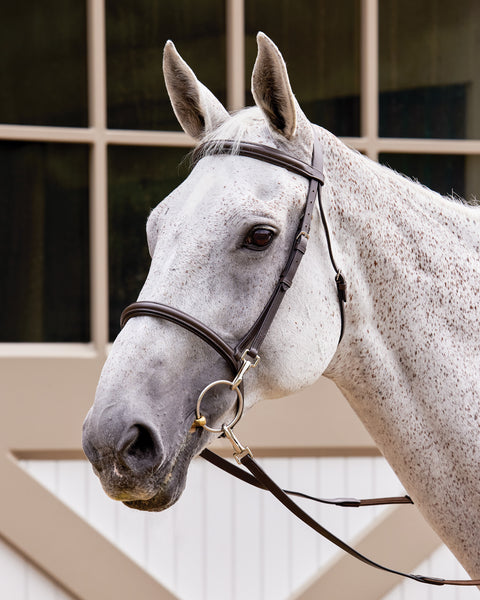 Suffolk™ Training Bridle