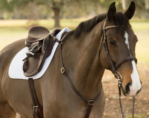 Circuit™ Premier Monoflap Event Saddle