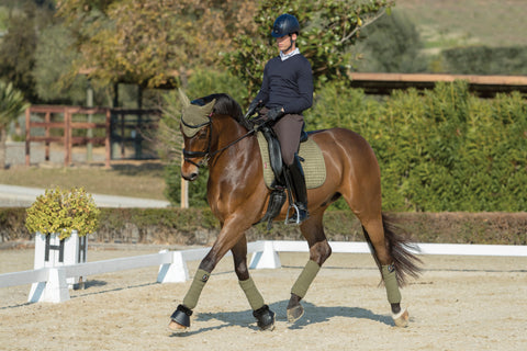 LeMieux® Suede Dressage Square Pad