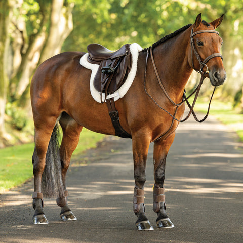 LeMieux® Merino+ ProSorb Hunter Saddle Pad