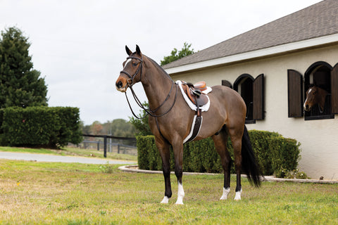 LeMieux® Merino+ Hunter Saddle Pad