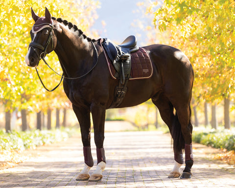 LeMieux® Loire Classic Dressage Saddle Pad