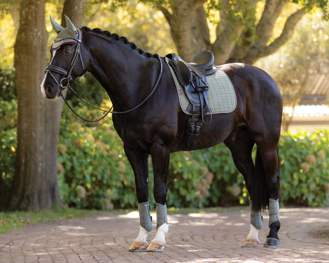 LeMieux® Suede Dressage Saddle Pad - Square Pads