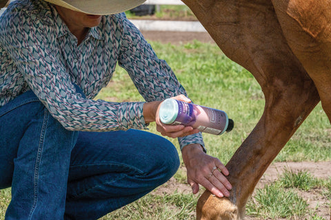Equiderma® Skin Lotion