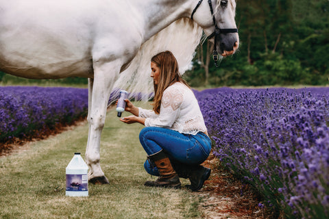 Equiderma® Skin Lotion