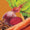 Manna Pro® NutriGood™ Low Sugar Snax