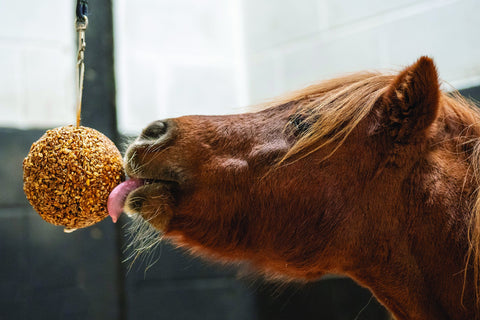 Likit™ Granola Stall Ball